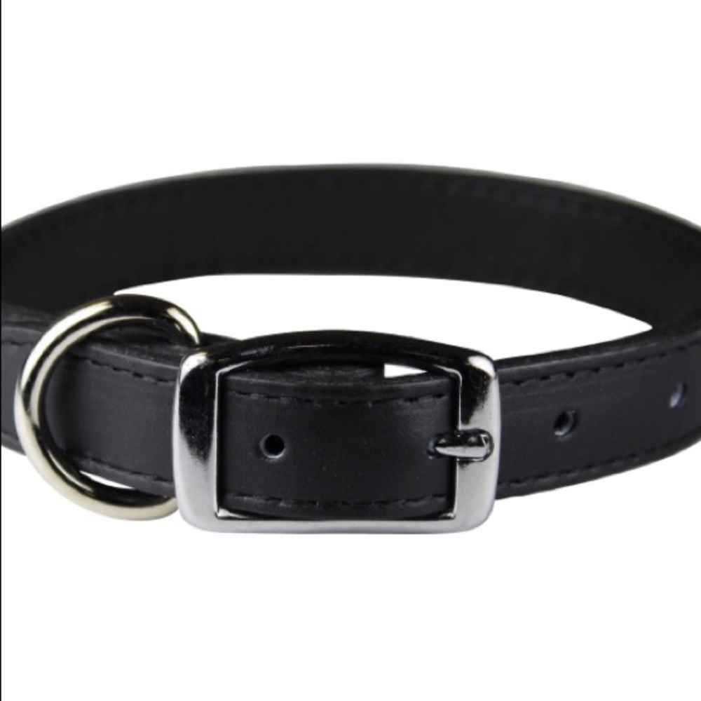 Pet King (LARGE) Dog leather Collar vintage dome